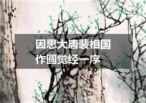 因思大唐裴相国作圆觉经一序