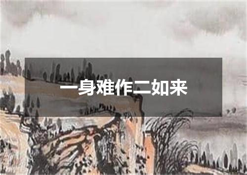 一身难作二如来