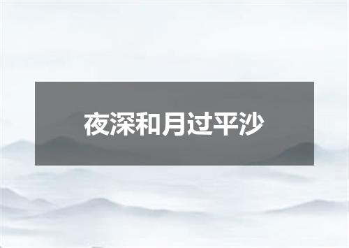 夜深和月过平沙