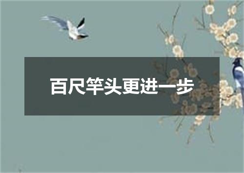 百尺竿头更进一步