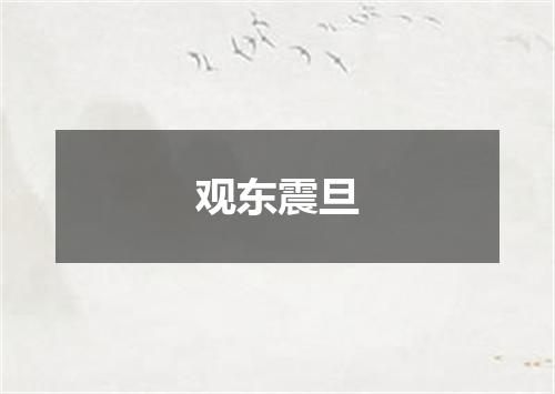 观东震旦