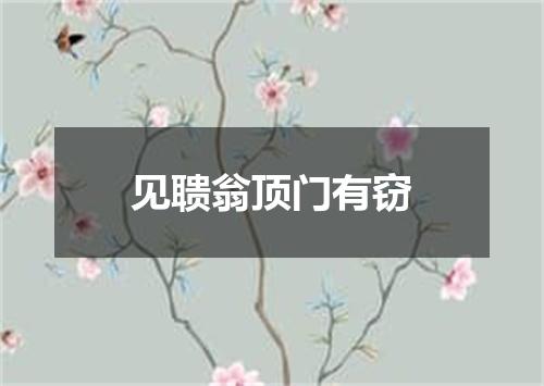 见聩翁顶门有窃