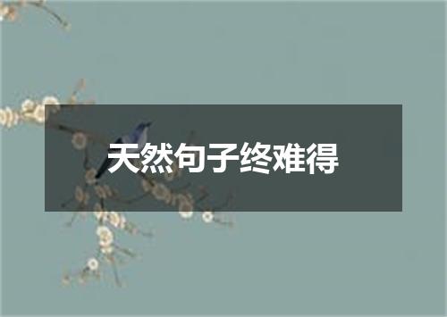 天然句子终难得