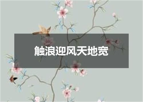触浪迎风天地宽