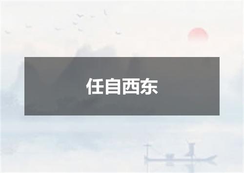 任自西东