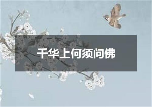 千华上何须问佛