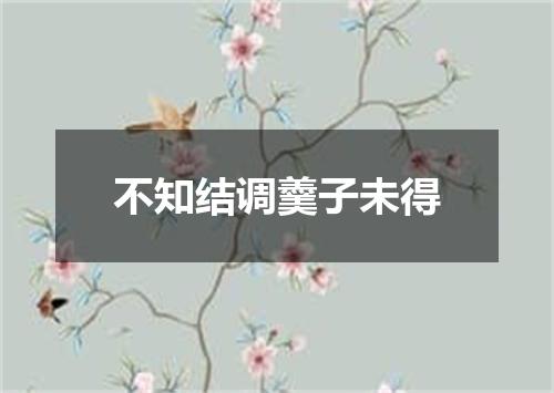 不知结调羹子未得