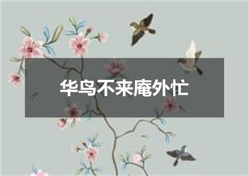 华鸟不来庵外忙