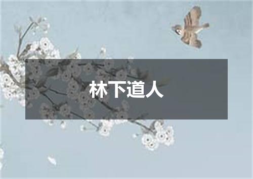 林下道人