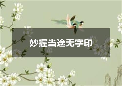 妙握当途无字印