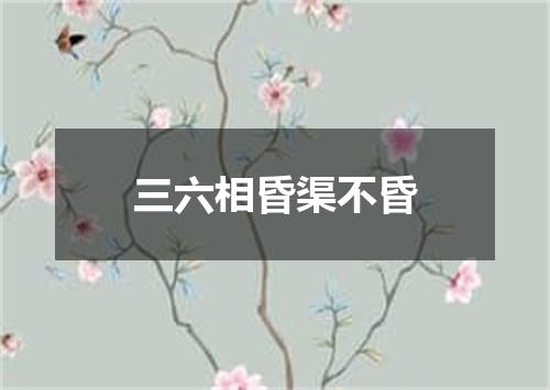 三六相昏渠不昏