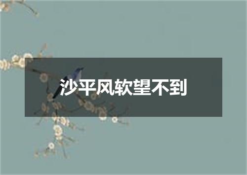 沙平风软望不到