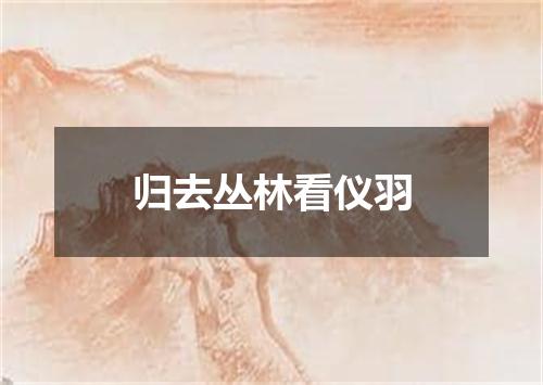 归去丛林看仪羽