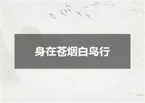 身在苍烟白鸟行