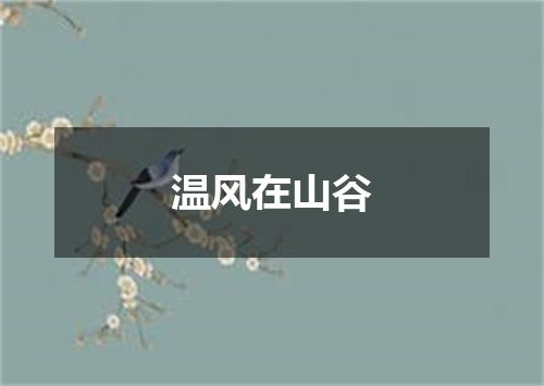 温风在山谷