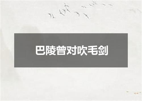 巴陵曾对吹毛剑