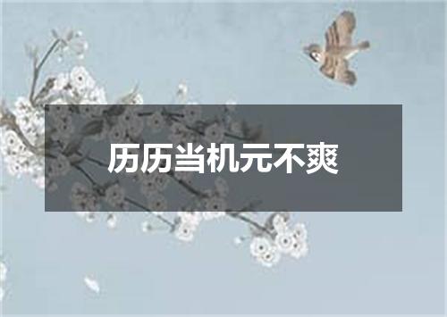 历历当机元不爽