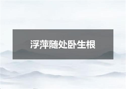 浮萍随处卧生根