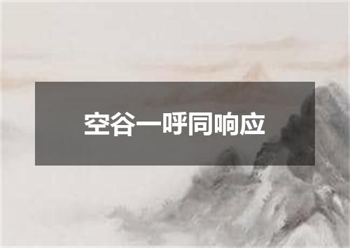 空谷一呼同响应