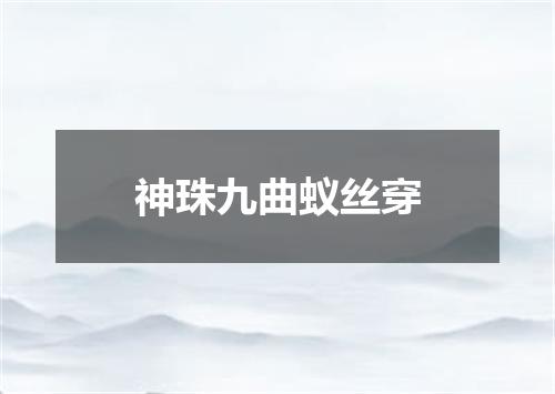 神珠九曲蚁丝穿