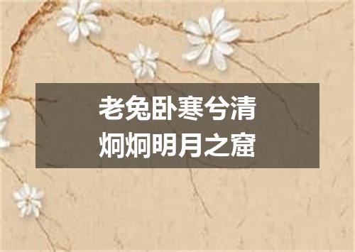 老兔卧寒兮清炯炯明月之窟