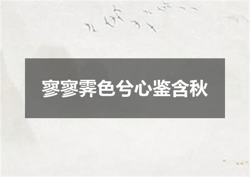 寥寥霁色兮心鉴含秋