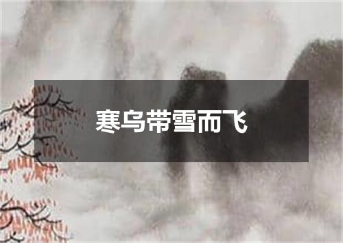 寒乌带雪而飞