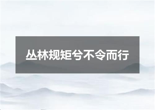 丛林规矩兮不令而行