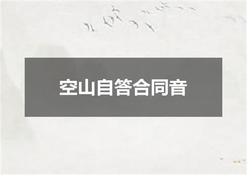 空山自答合同音