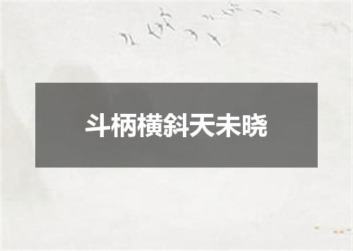 斗柄横斜天未晓