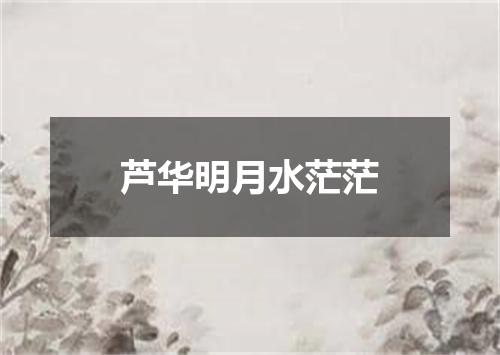 芦华明月水茫茫