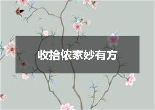 收拾侬家妙有方