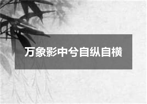 万象影中兮自纵自横