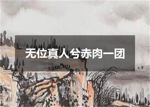 无位真人兮赤肉一团
