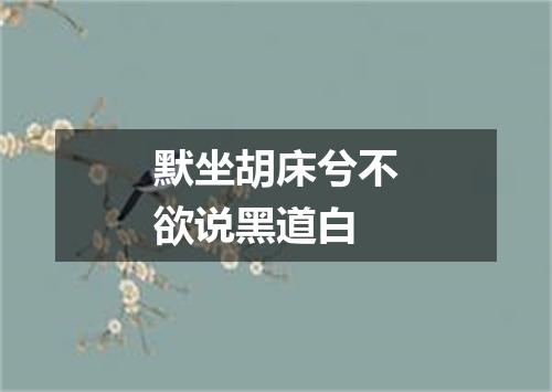 默坐胡床兮不欲说黑道白