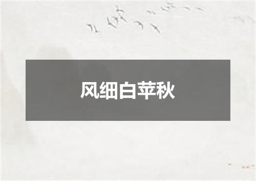 风细白苹秋