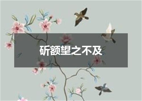 斫额望之不及