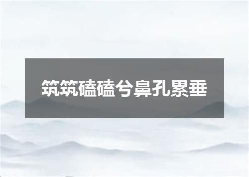 筑筑磕磕兮鼻孔累垂