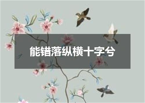 能错落纵横十字兮