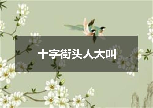 十字街头人大叫