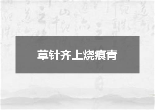 草针齐上烧痕青