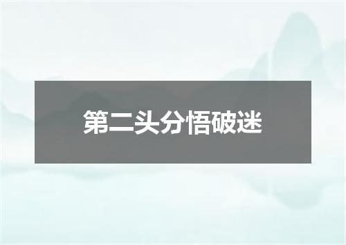 第二头分悟破迷