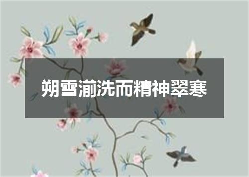 朔雪湔洗而精神翠寒