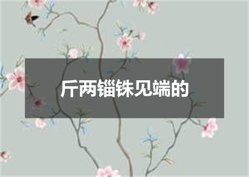 斤两锱铢见端的