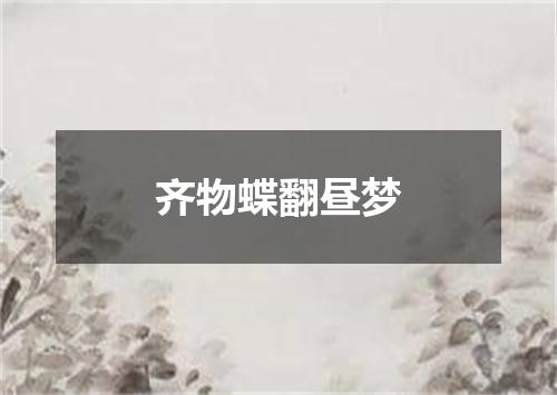齐物蝶翻昼梦