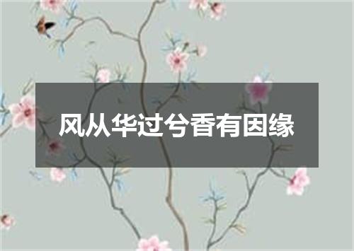 风从华过兮香有因缘