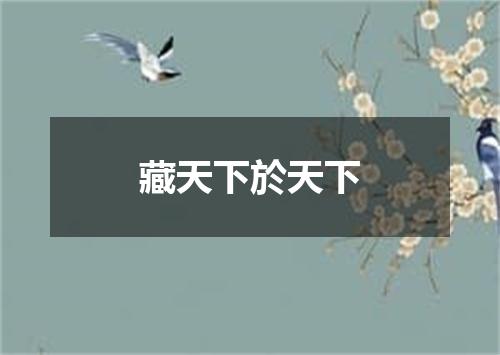 藏天下於天下