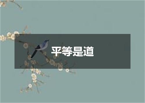 平等是道