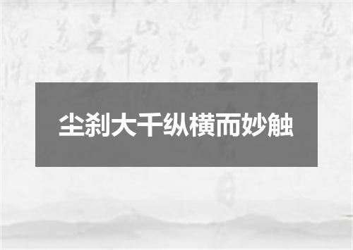 尘刹大千纵横而妙触