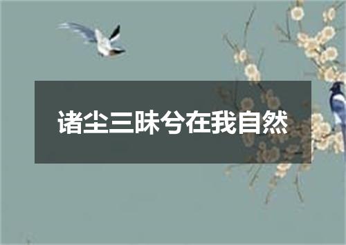 诸尘三昧兮在我自然
